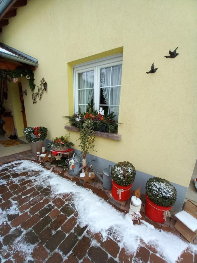 Вилла L'Alcove Des P'Tits Coeurs Benfeld Экстерьер фото